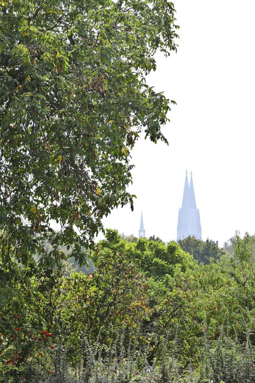 Top Apartments in zentraler Lage Keulen Buitenkant foto